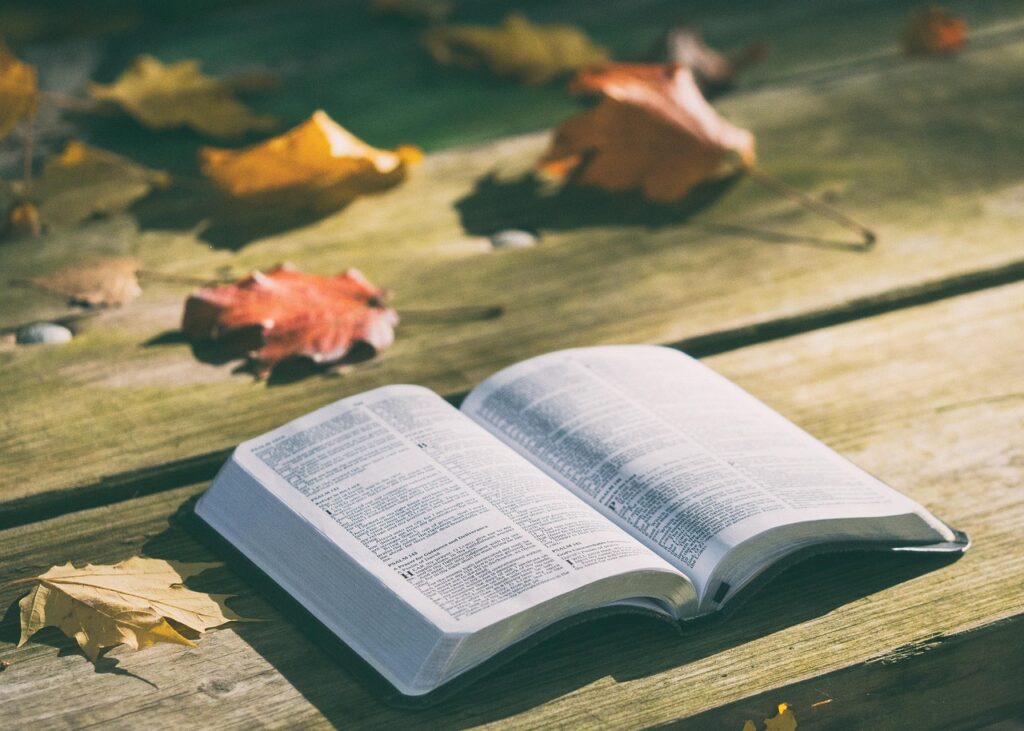 versículo do dia Isaías 41:10